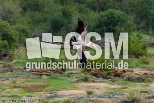 Nimmersatt (14 von 22).jpg